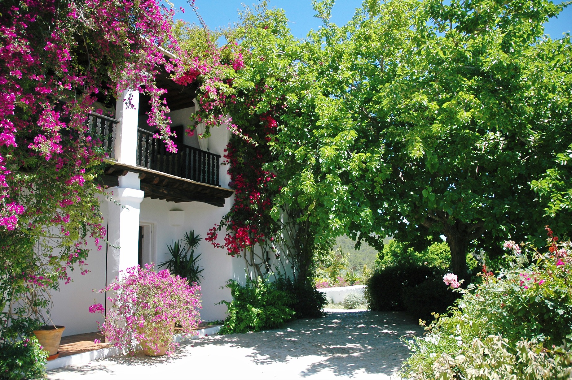 Luxury House 1