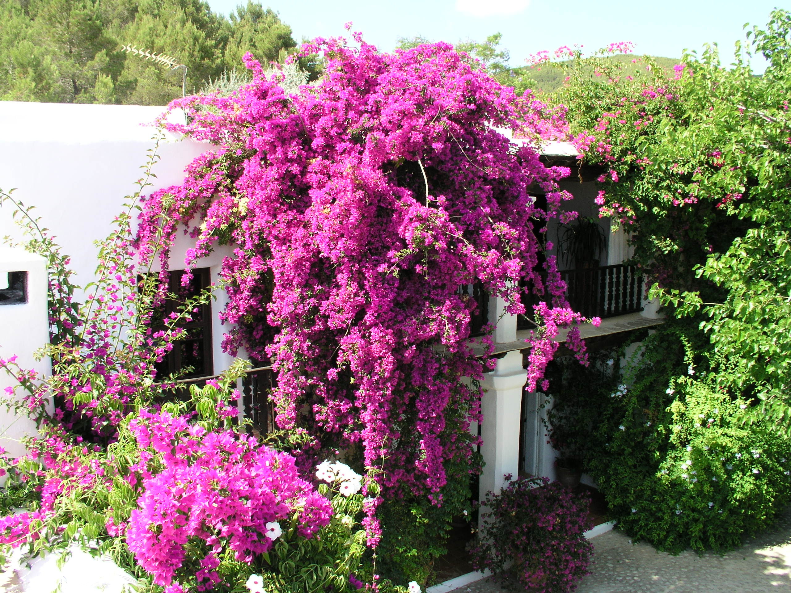 Luxury House 2
